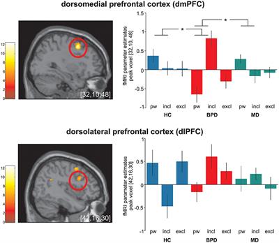 Neural Correlates of Social Inclusion in Borderline Personality Disorder